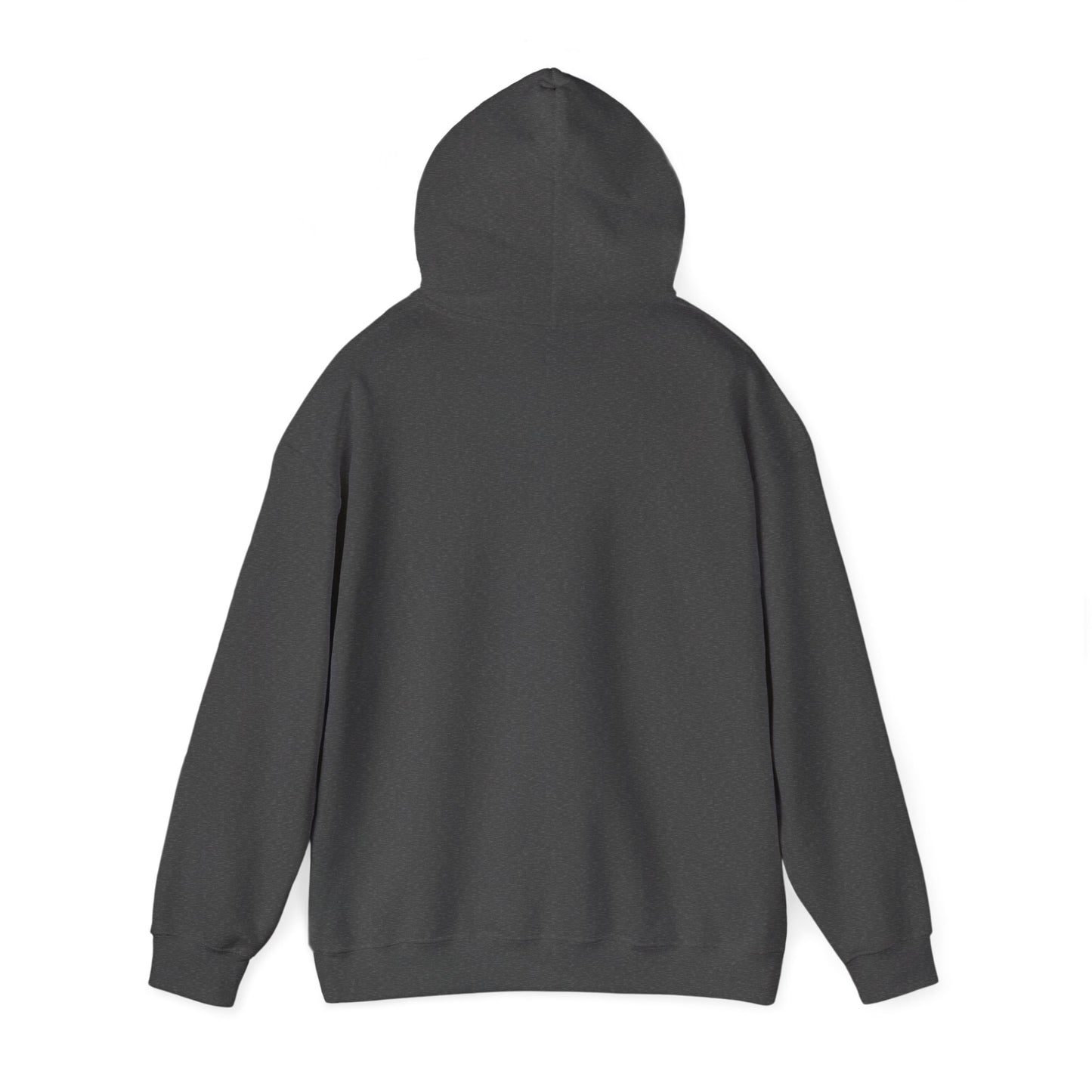 Resident Evil Requiem Hoodie, Umbrella Corporation Sweatshirt, Survival Horror Gaming Hoodie Pullover, Gamer Gift