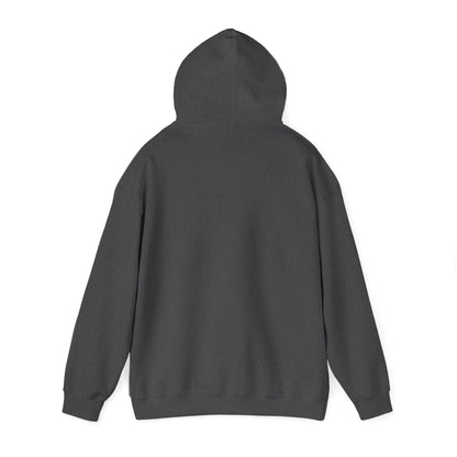 Resident Evil Requiem Hoodie, Umbrella Corporation Sweatshirt, Survival Horror Gaming Hoodie Pullover, Gamer Gift