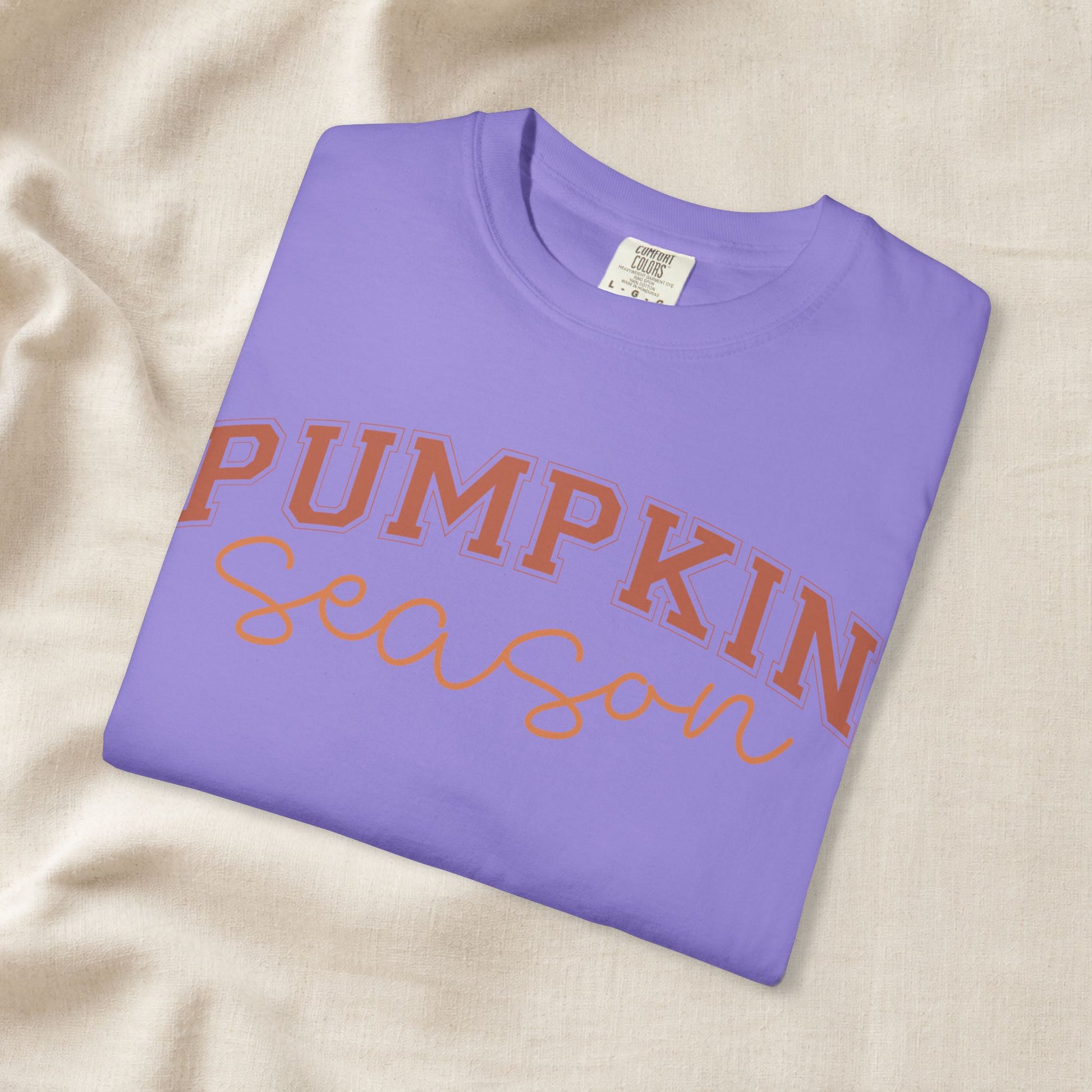 Pumpkin Season Shirt, Fall Aesthetic Tee, Pumpkin Patch Outfit, Cozy Autumn Shirt, Cute Fall Festival Tee, Comfort Colors