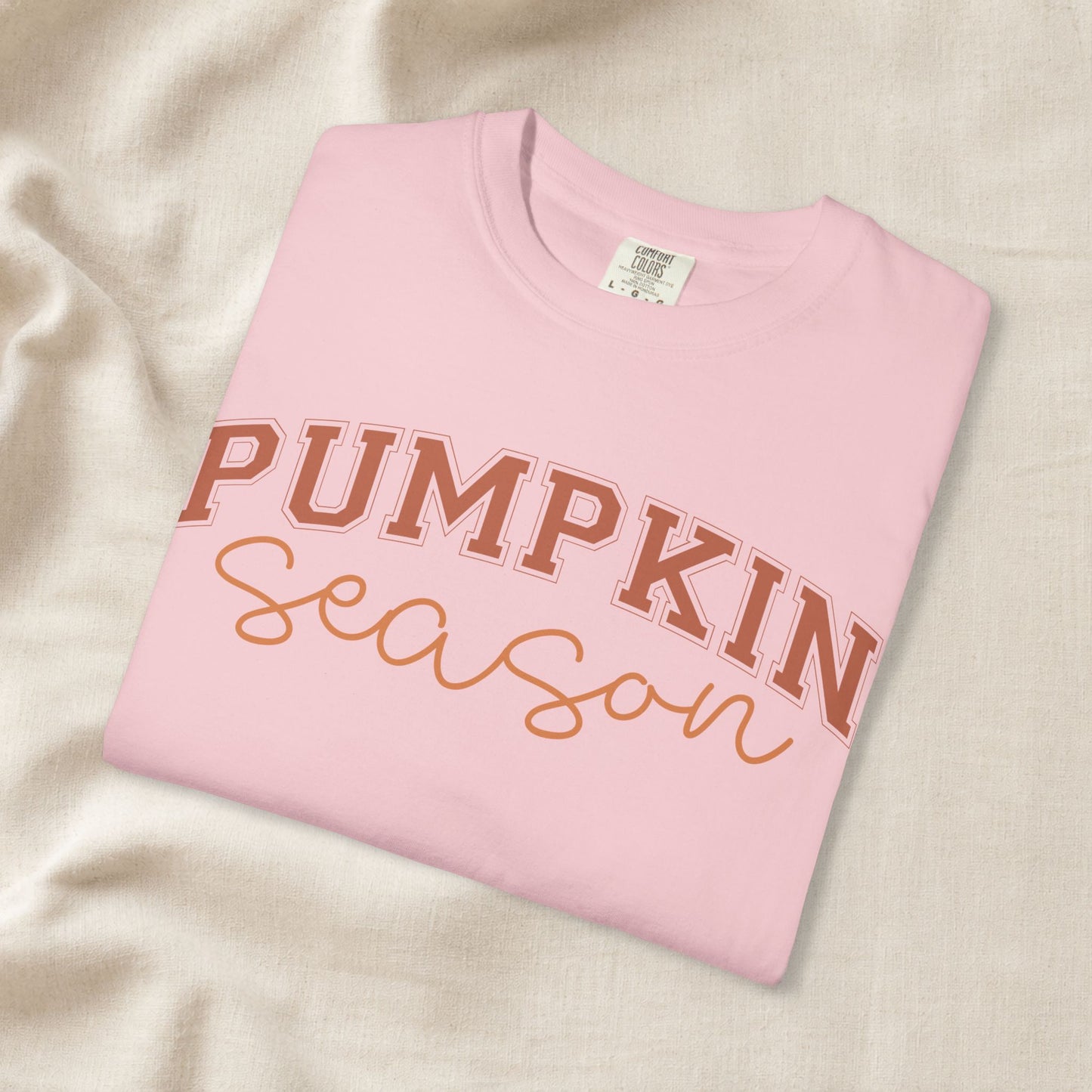 thanksgiving tee aesthetic Pumpkin Season Shirt, Fall Aesthetic Tee, Pumpkin Patch Outfit, Cozy Autumn Shirt, Cute Fall