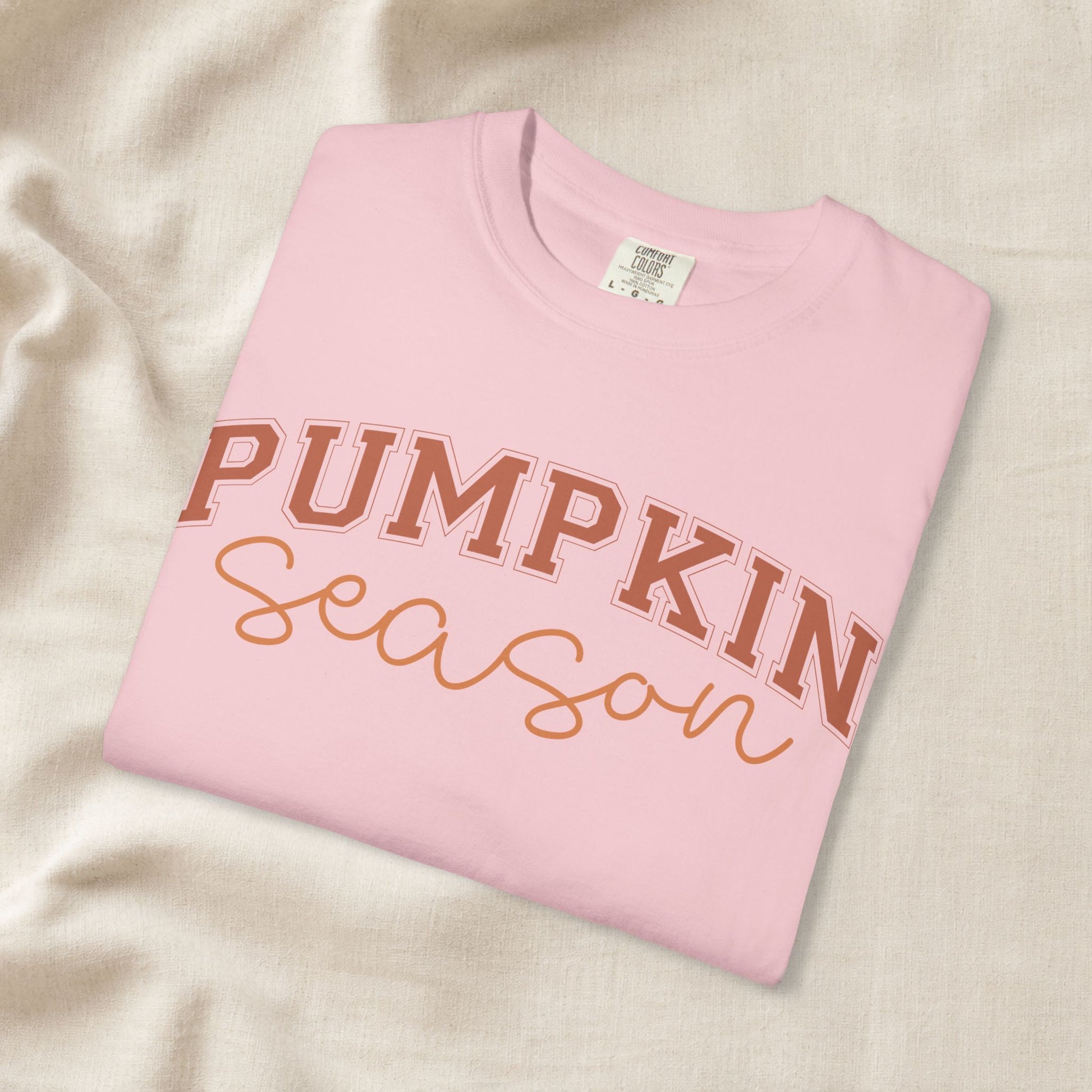 thanksgiving tee aesthetic Pumpkin Season Shirt, Fall Aesthetic Tee, Pumpkin Patch Outfit, Cozy Autumn Shirt, Cute Fall