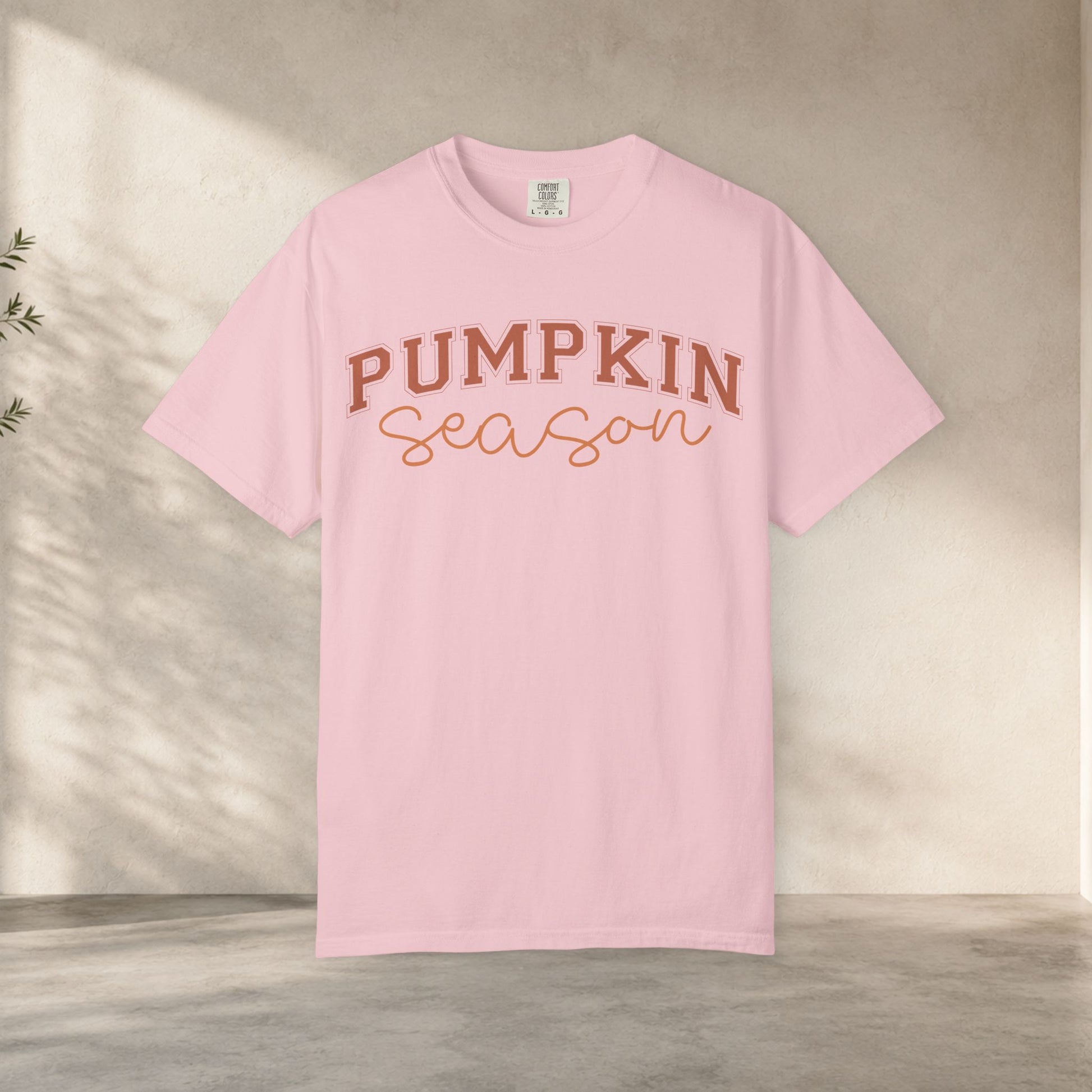 Pumpkin Season Shirt, Fall Aesthetic Tee, Pumpkin Patch Outfit, Cozy Autumn Shirt, Cute Fall Festival Tee, Comfort Colors