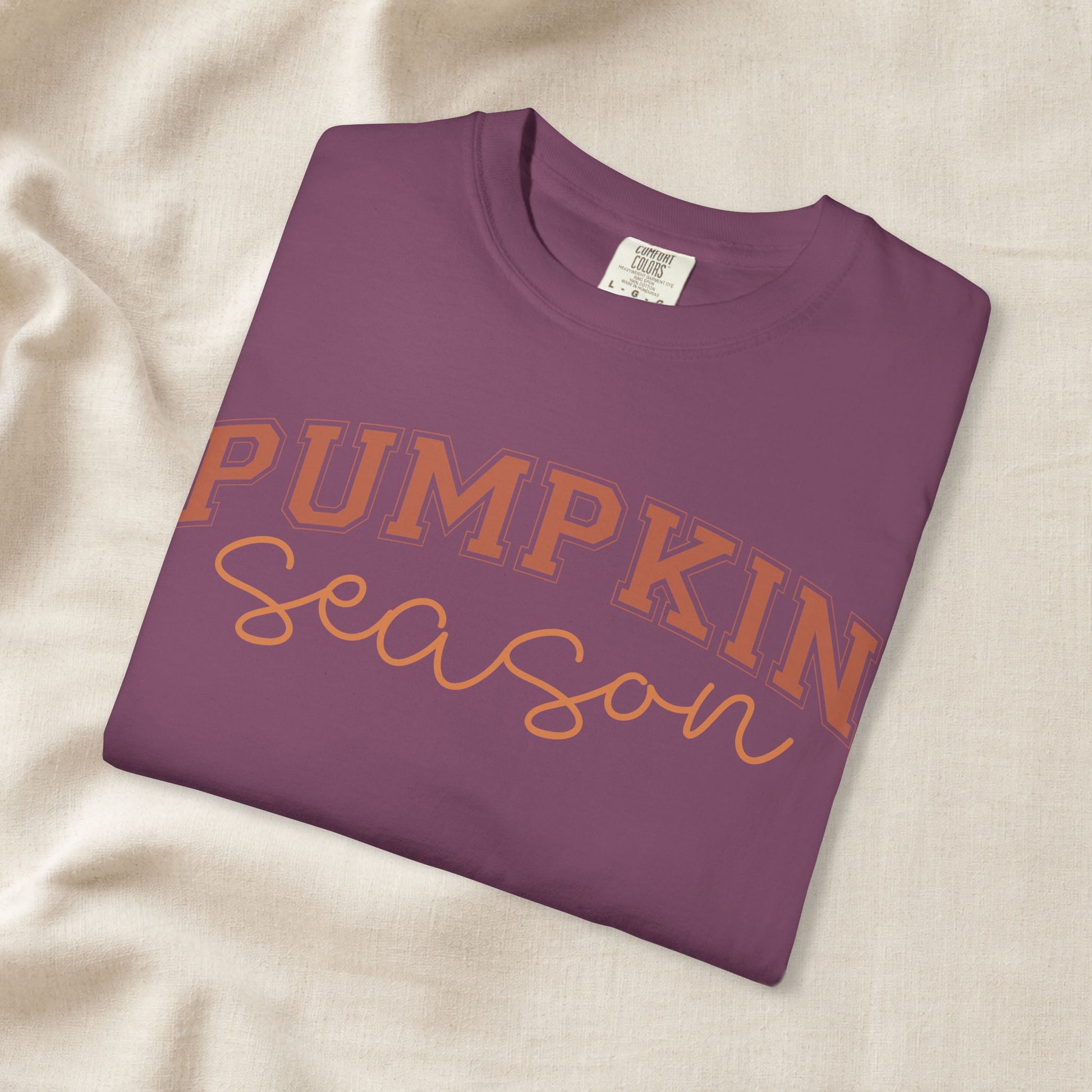 Pumpkin Season Shirt, Fall Aesthetic Tee, Pumpkin Patch Outfit, Cozy Autumn Shirt, Cute Fall Festival Tee, Comfort Colors