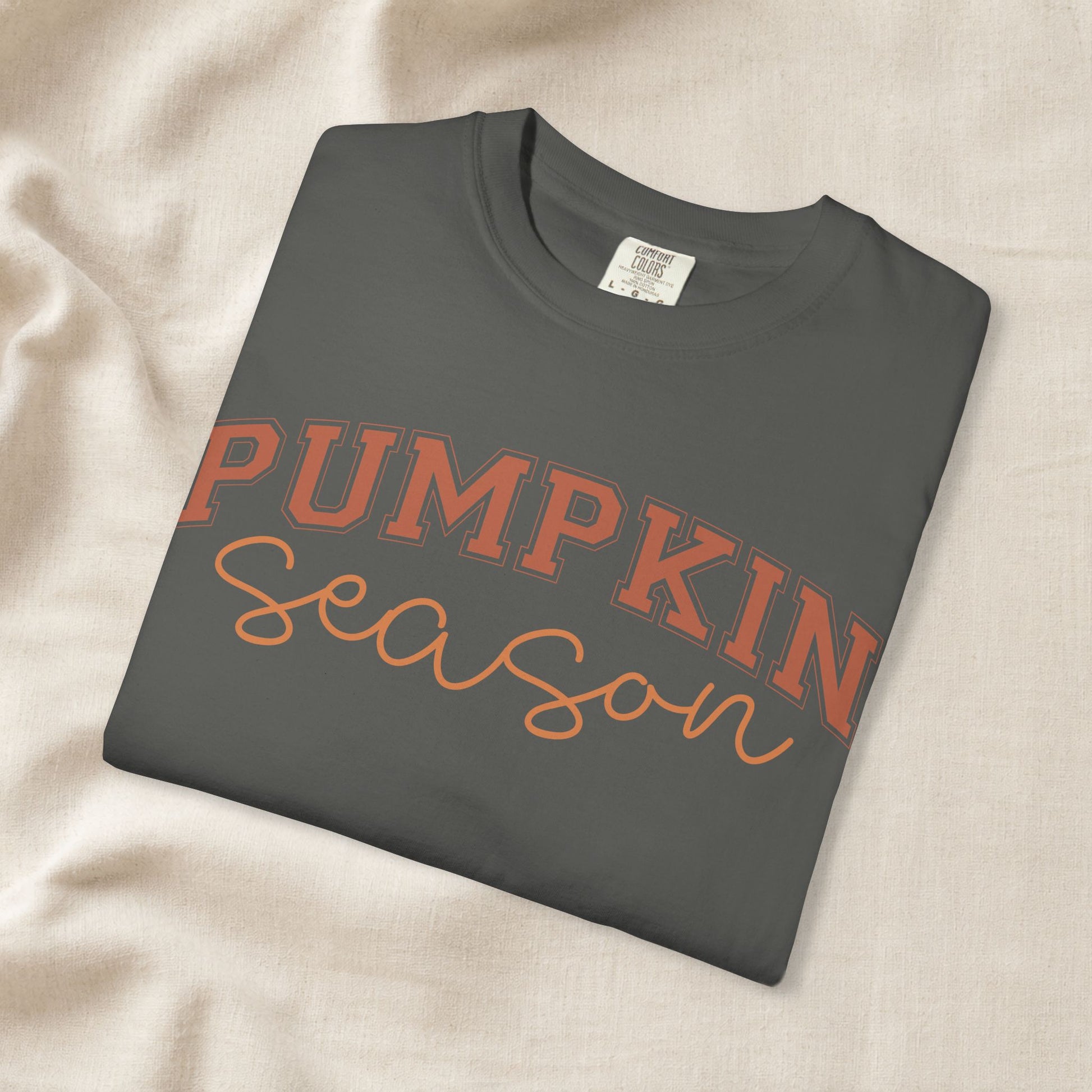Pumpkin Season Shirt, Fall Aesthetic Tee, Pumpkin Patch Outfit, Cozy Autumn Shirt, Cute Fall Festival Tee, Comfort Colors