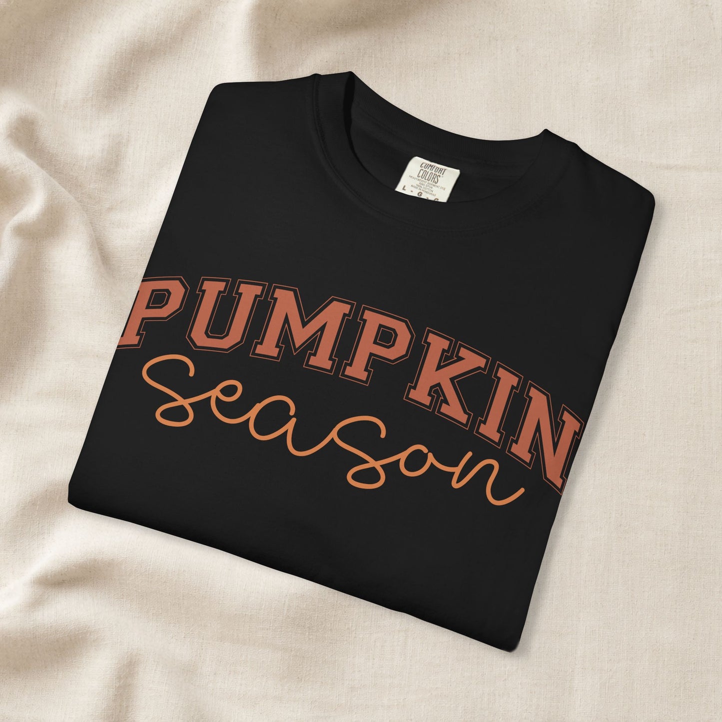 Pumpkin Season Shirt, Fall Aesthetic Tee, Pumpkin Patch Outfit, Cozy Autumn Shirt, Cute Fall Festival Tee, Comfort Colors