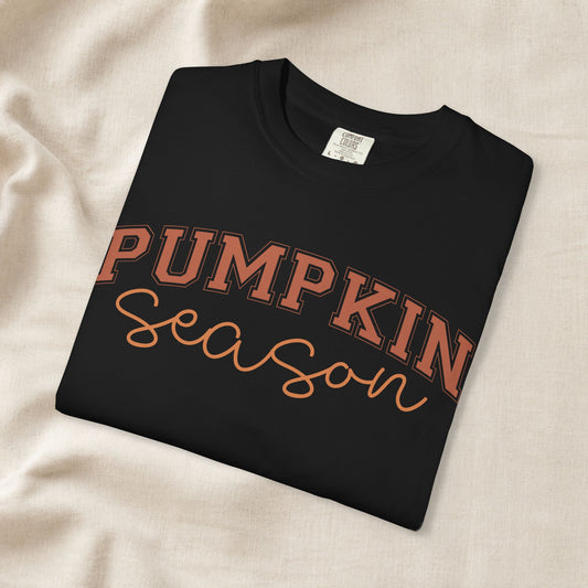 Pumpkin Season Shirt, Fall Aesthetic Tee, Pumpkin Patch Outfit, Cozy Autumn Shirt, Cute Fall Festival Tee, Comfort Colors