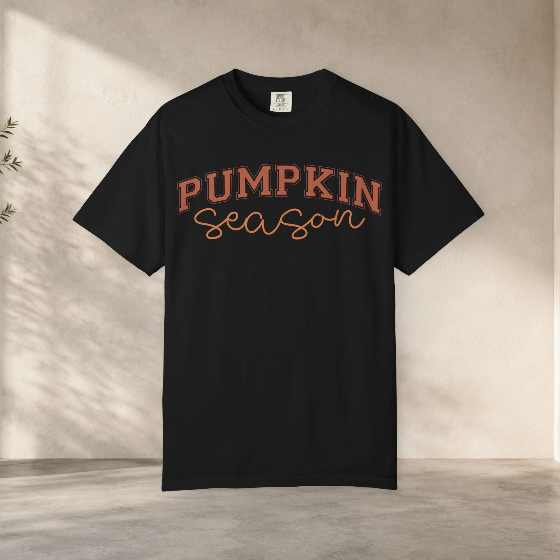 Pumpkin Season Shirt, Fall Aesthetic Tee, Pumpkin Patch Outfit, Cozy Autumn Shirt, Cute Fall Festival Tee, Comfort Colors