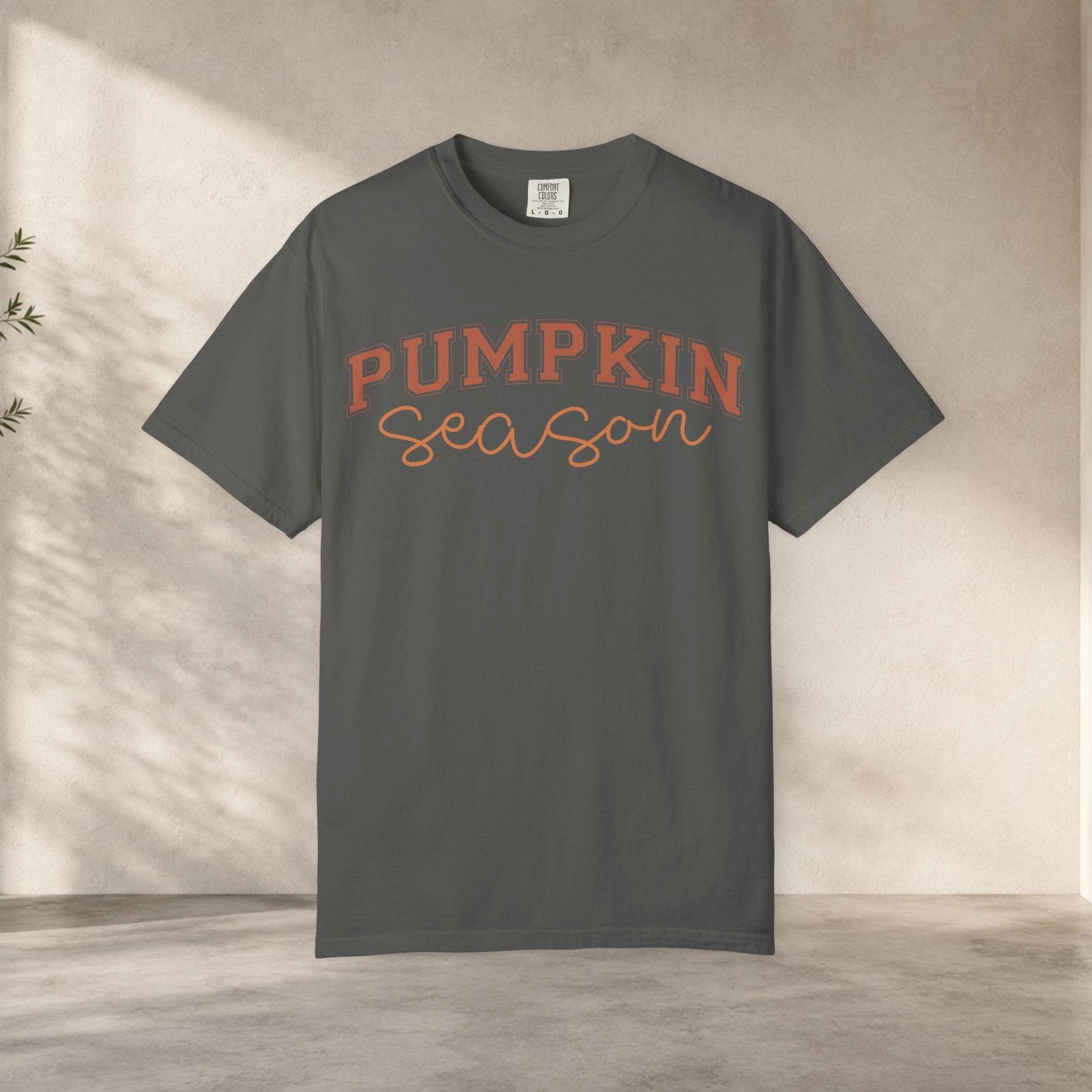 Pumpkin Season Shirt, Fall Aesthetic Tee, Pumpkin Patch Outfit, Cozy Autumn Shirt, Cute Fall Festival Tee, Comfort Colors