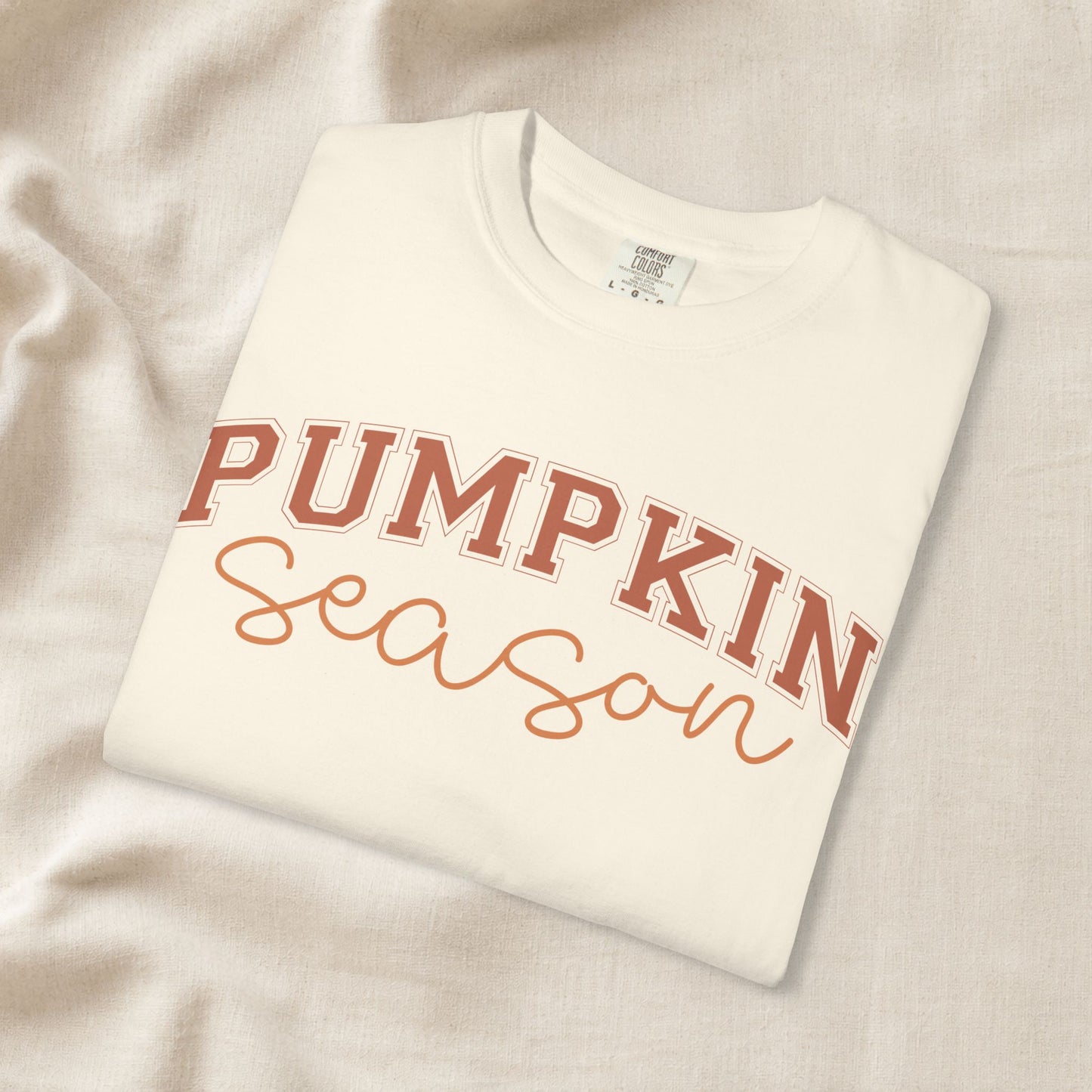 Pumpkin Season Shirt, Fall Aesthetic Tee, Pumpkin Patch Outfit, Cozy Autumn Shirt, Cute Fall Festival Tee, Comfort Colors