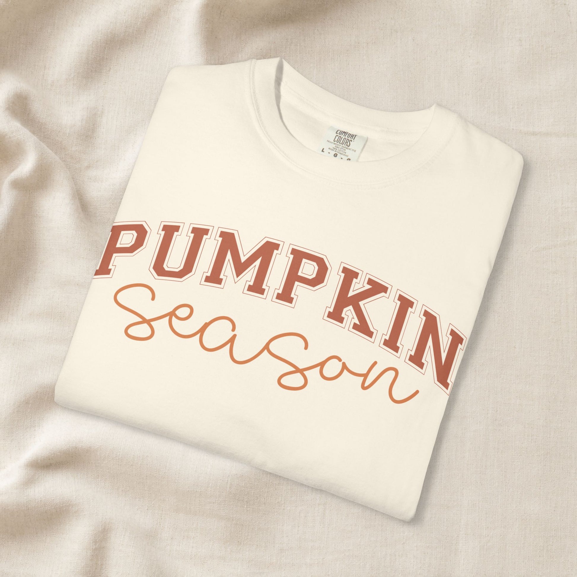 Pumpkin Season Shirt, Fall Aesthetic Tee, Pumpkin Patch Outfit, Cozy Autumn Shirt, Cute Fall Festival Tee, Comfort Colors
